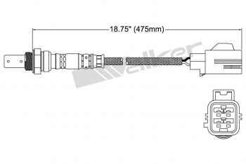 Oxygen Sensor
