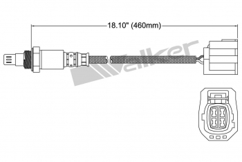 Oxygen Sensor