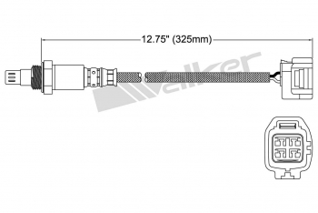 Oxygen Sensor