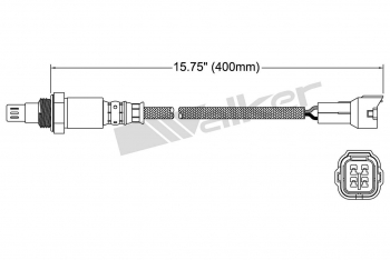 Oxygen Sensor