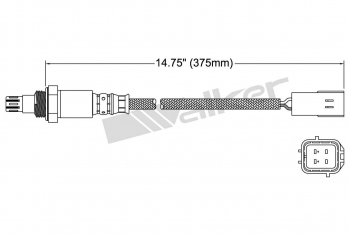 Oxygen Sensor