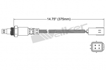 Oxygen Sensor