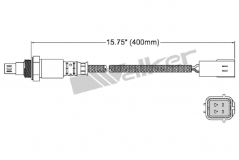 Oxygen Sensor