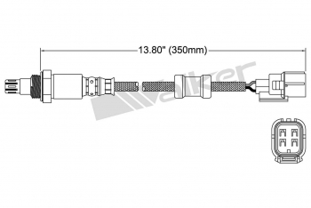 Oxygen Sensor