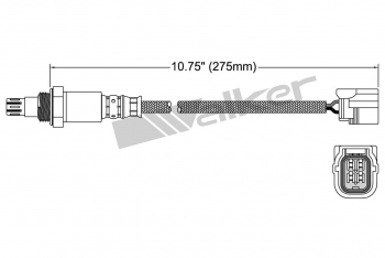 Oxygen Sensor