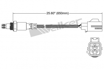 Oxygen Sensor