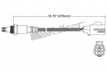 Oxygen Sensor