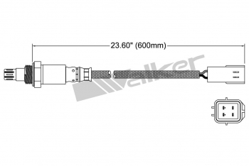 Oxygen Sensor