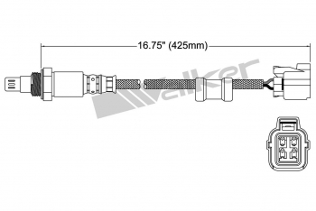 Oxygen Sensor