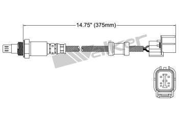 Oxygen Sensor