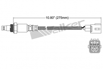 Oxygen Sensor