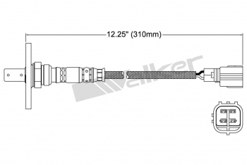 Oxygen Sensor
