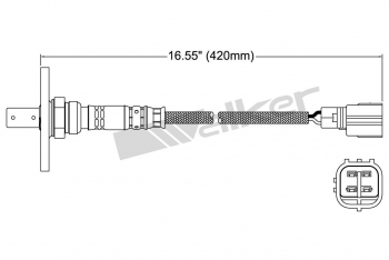 Oxygen Sensor