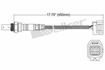 Oxygen Sensor