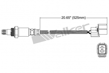 Oxygen Sensor