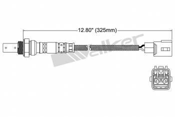 Oxygen Sensor