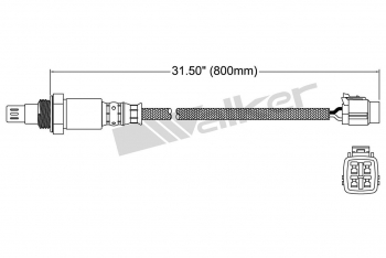 Oxygen Sensor