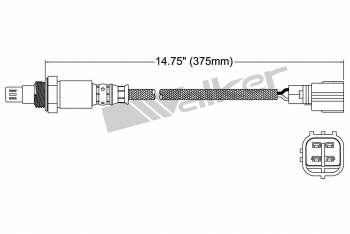 Oxygen Sensor