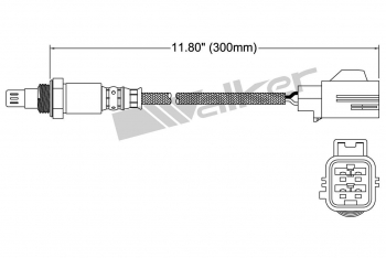 Oxygen Sensor
