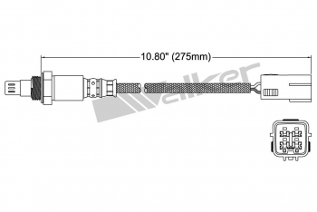 Oxygen Sensor