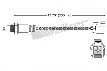 Oxygen Sensor