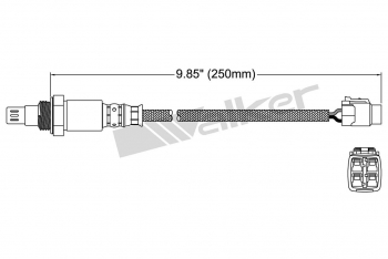 Oxygen Sensor