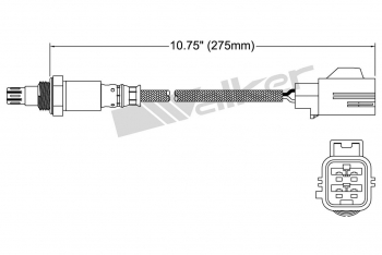 Oxygen Sensor