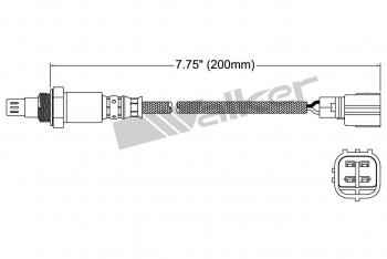 Oxygen Sensor