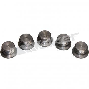 Oxygen Sensor Bung Plug