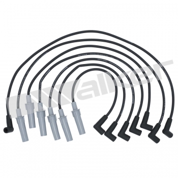 Spark Plug Wire Set