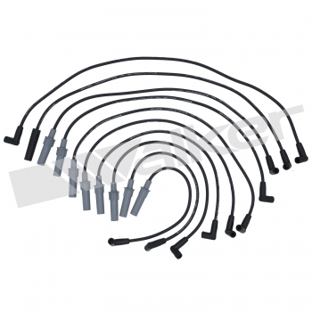 Spark Plug Wire Set