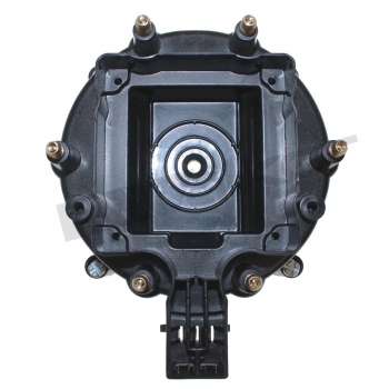 Distributor Cap