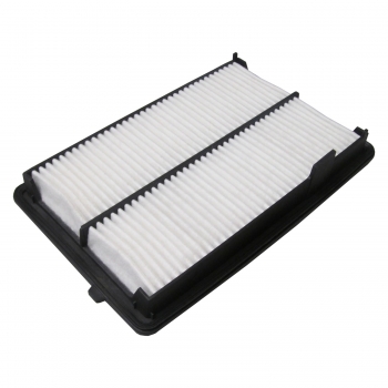 Engine Air Filter