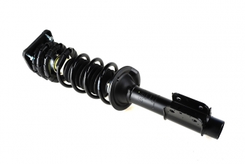 Suspension Strut and Coil Spring Assembly