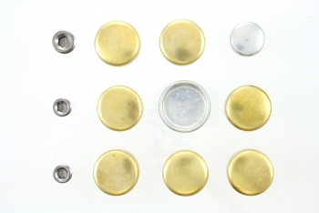 Engine Expansion Plug Kit
