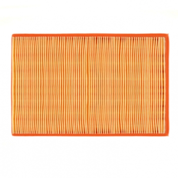 Engine Air Filter