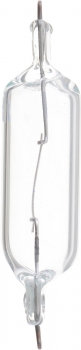 Dome Light Bulb