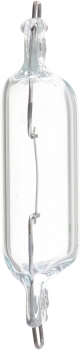 Dome Light Bulb