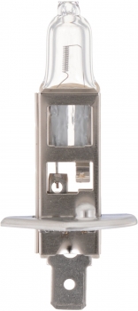 Fog Light Bulb