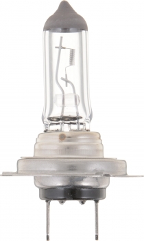 Fog Light Bulb