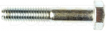 Screw