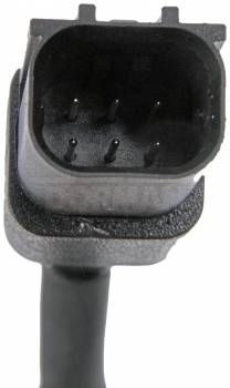 Park Assist Camera