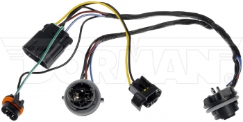 Headlight Socket