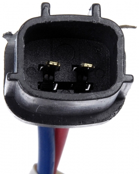 Window Motor and Regulator Assembly