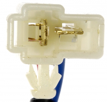 Window Motor and Regulator Assembly