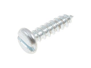 Screw
