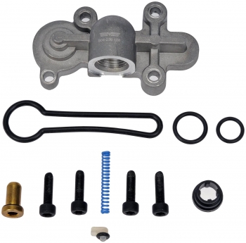 Fuel Injection Pressure Regulator