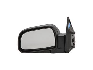 Door Mirror
