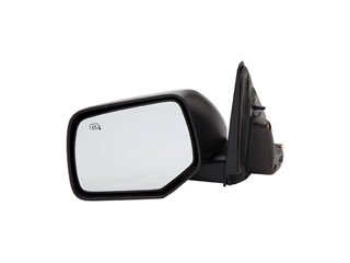 Door Mirror