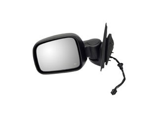 Door Mirror